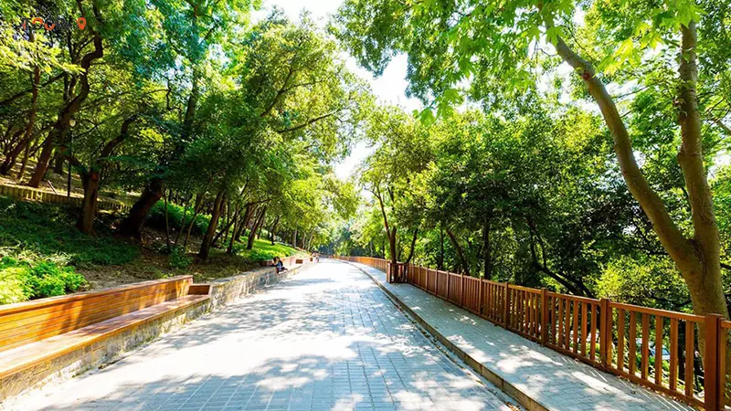پارک و بیشه فتحی پاشا استانبول